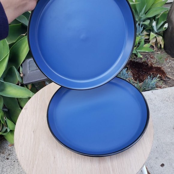 NEW Stone Lain 2 Piece Plates Stoneware Dinnerware Blue and Black Dishwasher an - Picture 4 of 7